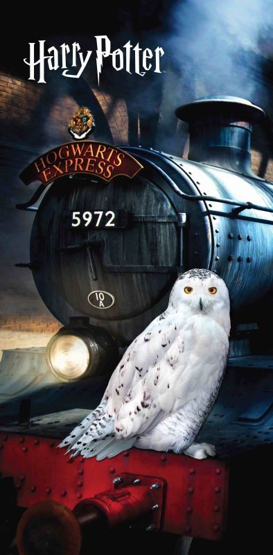 Dětská osuška Harry Potter Hedwig 70x140 cm