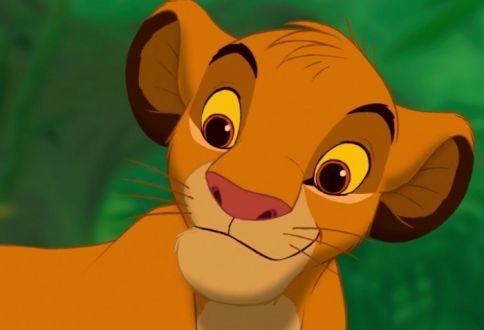 LVÍ KRÁL SIMBA LVÍ KRÁL SIMBA